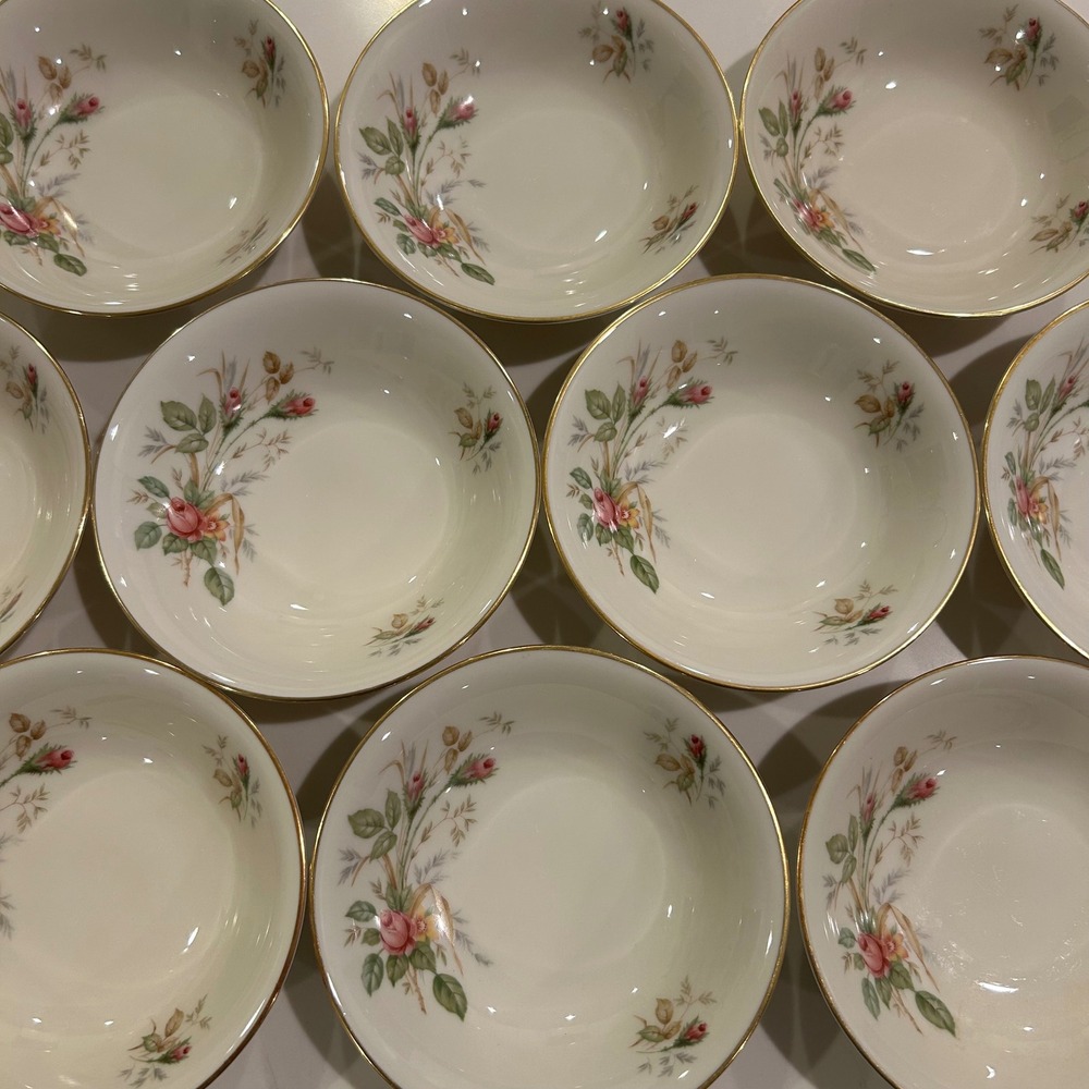 Thomas Germany 07470 Fruit dessert Bowls Set of 10 Ivory Pink Rose Gold Trim VTG
